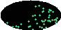galactic footprint (+footg5.gif)